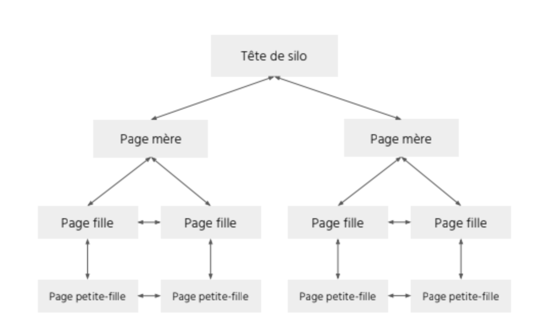 Schéma d’un maillage interne en silo montrant la hiérarchie entre une tête de silo, des pages mères, des pages filles et des pages petites-filles reliées entre elles pour optimiser le référencement naturel.